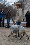 ВЫСТАВКИ - Выводка МООиР 2009
